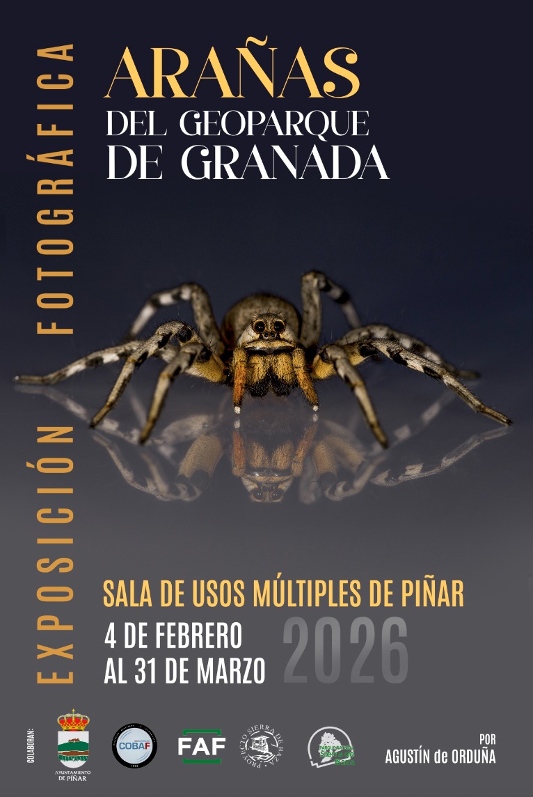 Exposicion de fotografias de arañas. Dentro del Ayuntamiento de Píñar (Recepción Cueva de las Ventanas)