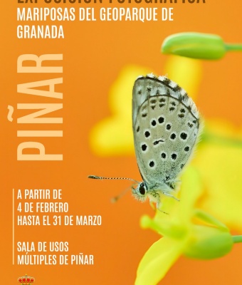 Exposicion de fotografias de mariposas. Dentro del Ayuntamiento de Píñar (Recepción Cueva de las Ventanas)